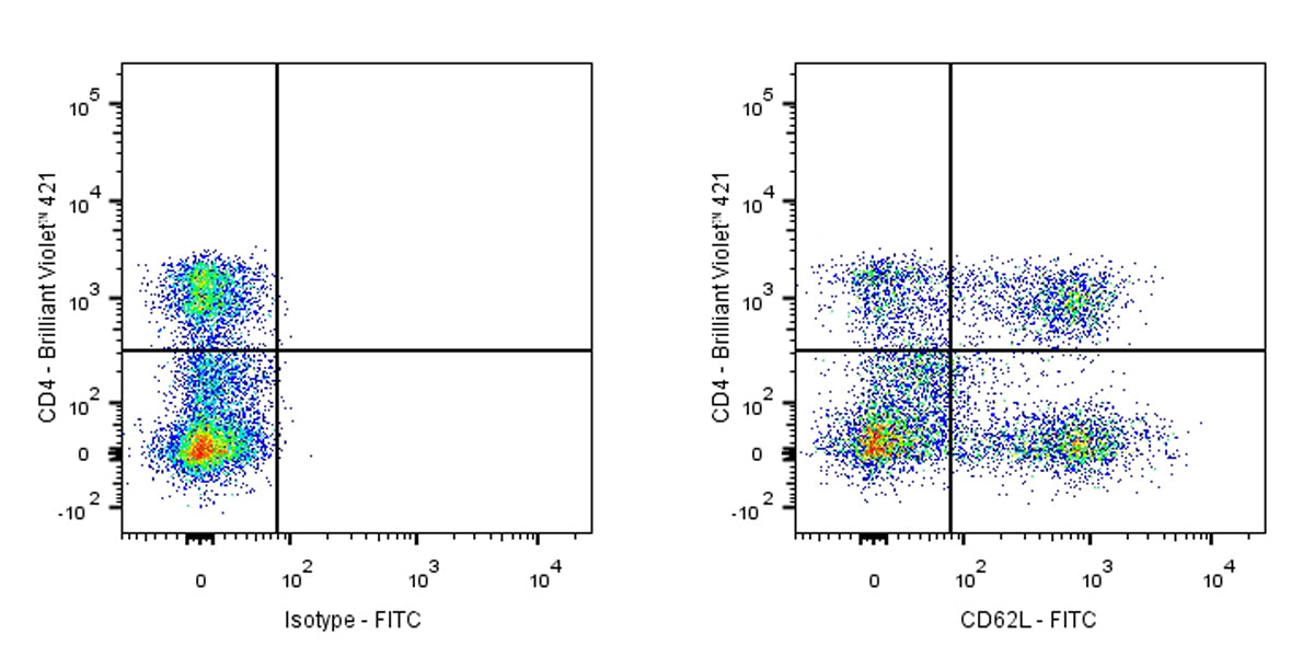 FITC Mouse Anti-Human CD62L Antibody (S-937-77)