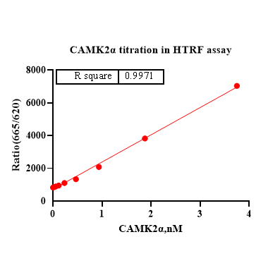 Product image media