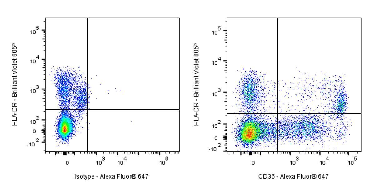 Alexa Fluor® 647 Mouse Anti-Human CD36 Antibody (S-R617)