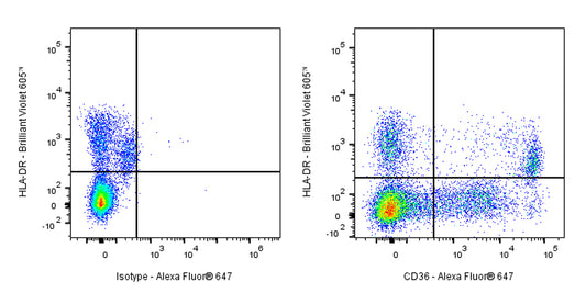 Alexa Fluor® 647 Mouse Anti-Human CD36 Antibody (S-R617)