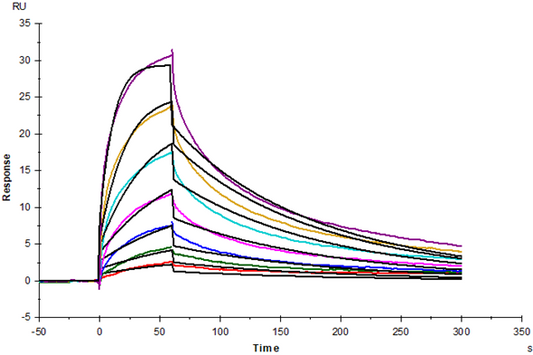 CD155/PVR His Tag Protein, Human