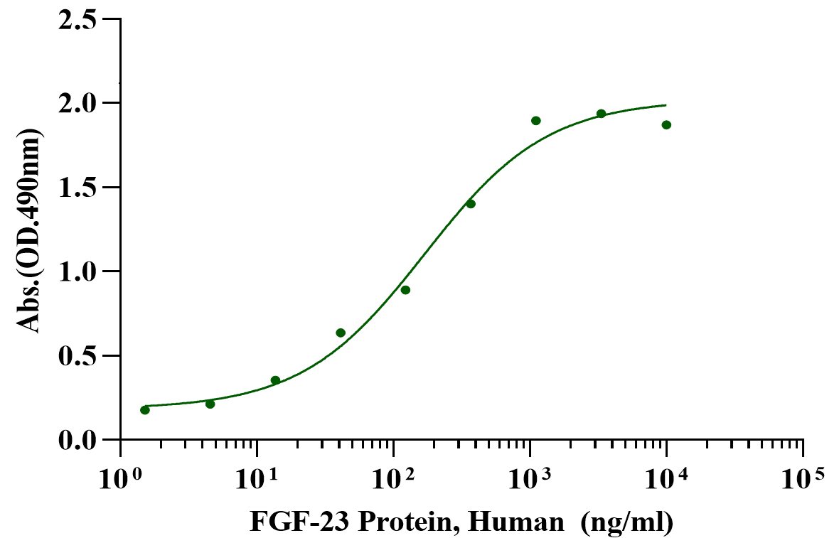 FGF-23 Protein, Human