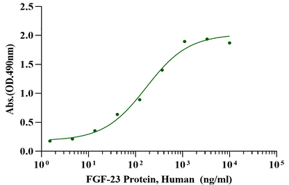 FGF-23 Protein, Human