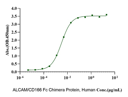 CD6 His Tag Protein, Human