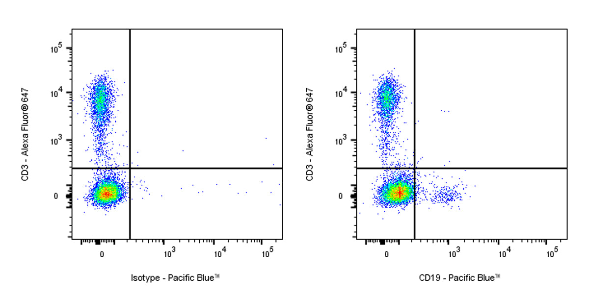 Pacific Blue Mouse Anti-Human CD19 Antibody (HIB19)