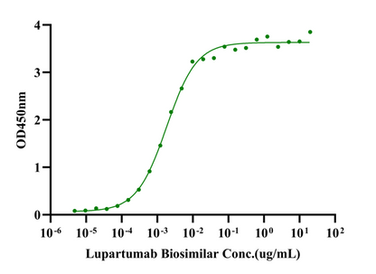 LYPD3 His Tag Protein, Human