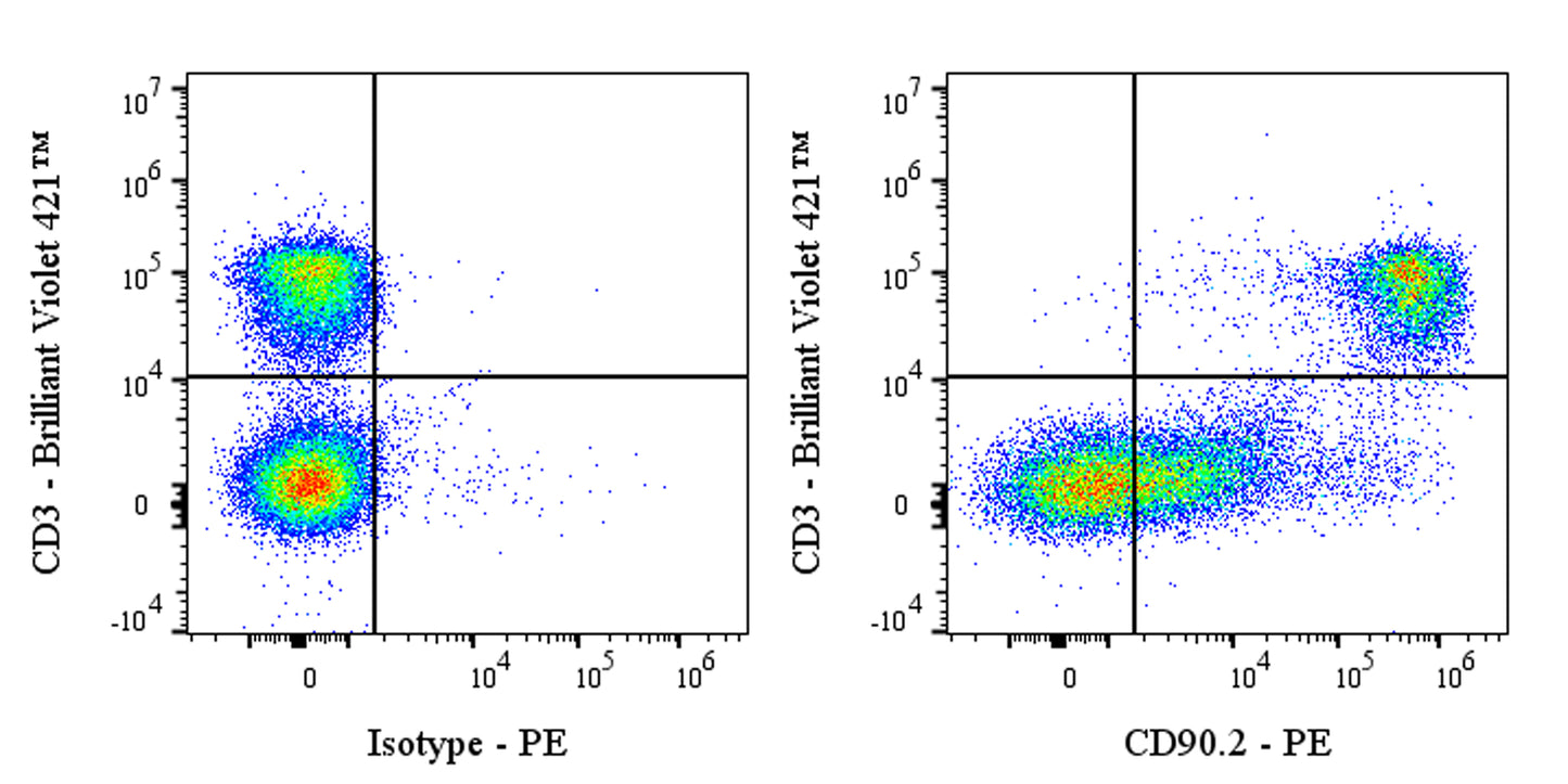 PE Rat Anti-Mouse CD90.2 (Thy-1.2) Antibody (53-2.1)