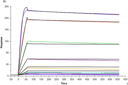 TNFR-1/CD120a Protein, Human