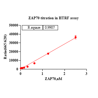 Product image media