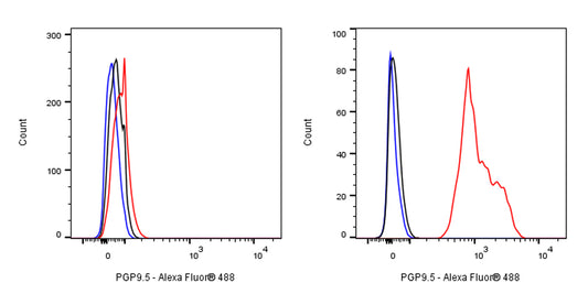 PGP9.5 Recombinant Rabbit mAb ,PBS Only(SDT-665-37)