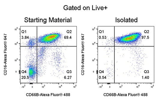 Human Neutrophil Isolation Kit (Column-Based)