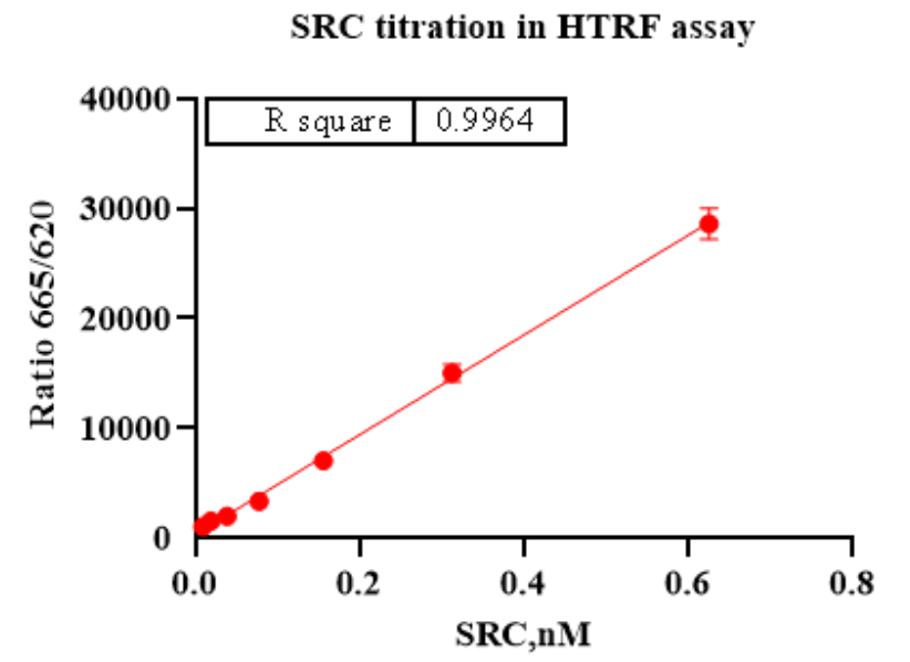 SRC Protein