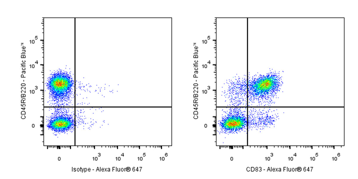 Alexa Fluor® 647 Rat Anti-Mouse CD83 Antibody (S-R522)