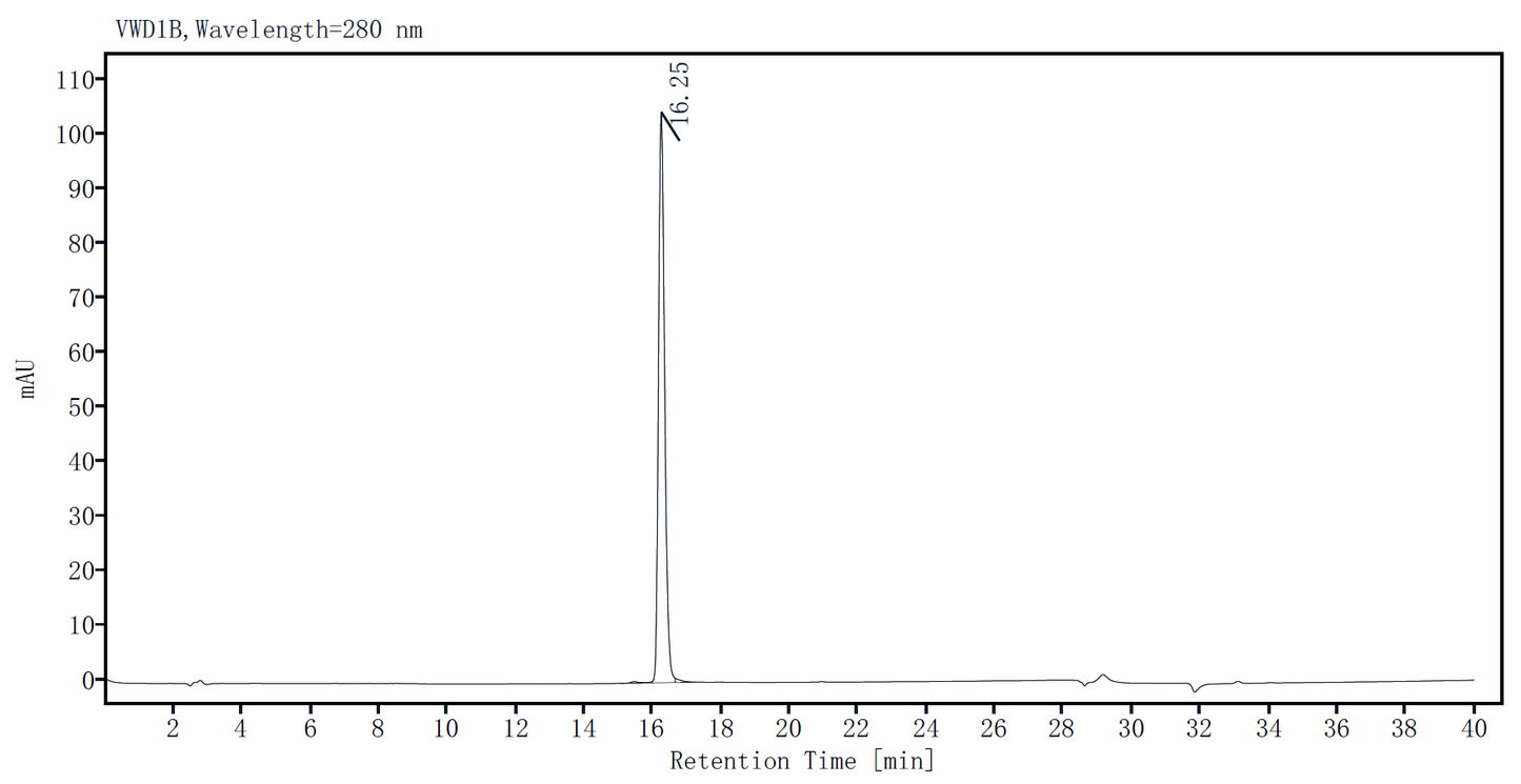 Coagulation factor XI/FXI His Tag Protein, Human