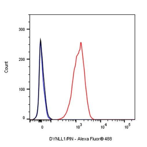 DYNLL1/PIN Recombinant Rabbit mAb (S-1460-8)