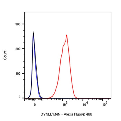 DYNLL1/PIN Recombinant Rabbit mAb (S-1460-8)