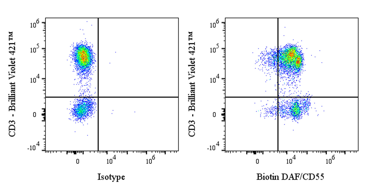 Biotin Mouse Anti-Human DAF/CD55 Antibody (S-628-48)