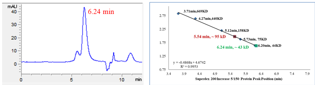 USP46 Protein, Human