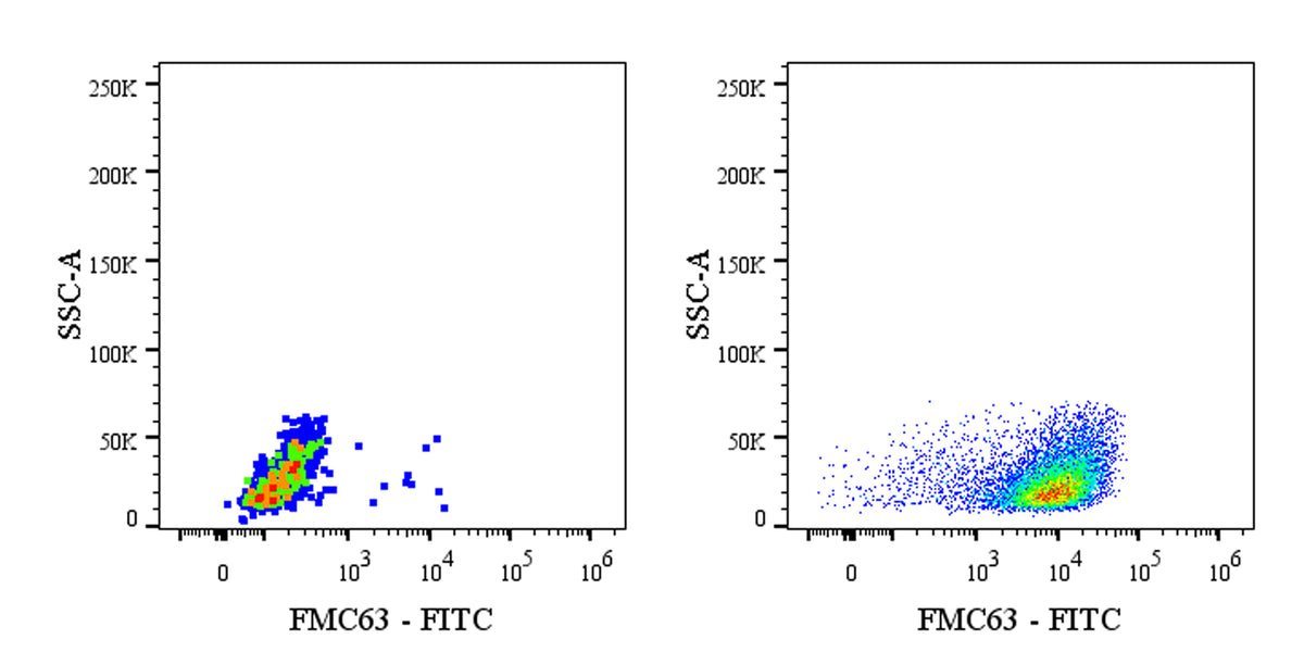 FMC63 Recombinant Rabbit mAb (FITC Conjugate) (S-2163-30)