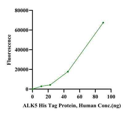 ALK5 His Tag Protein, Human