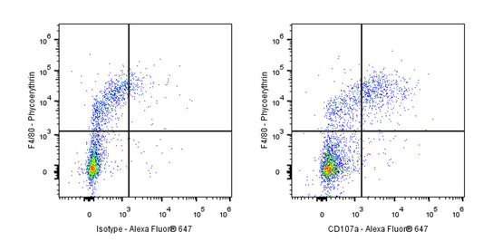 Rat Anti-Mouse CD107a Antibody (S-R668)