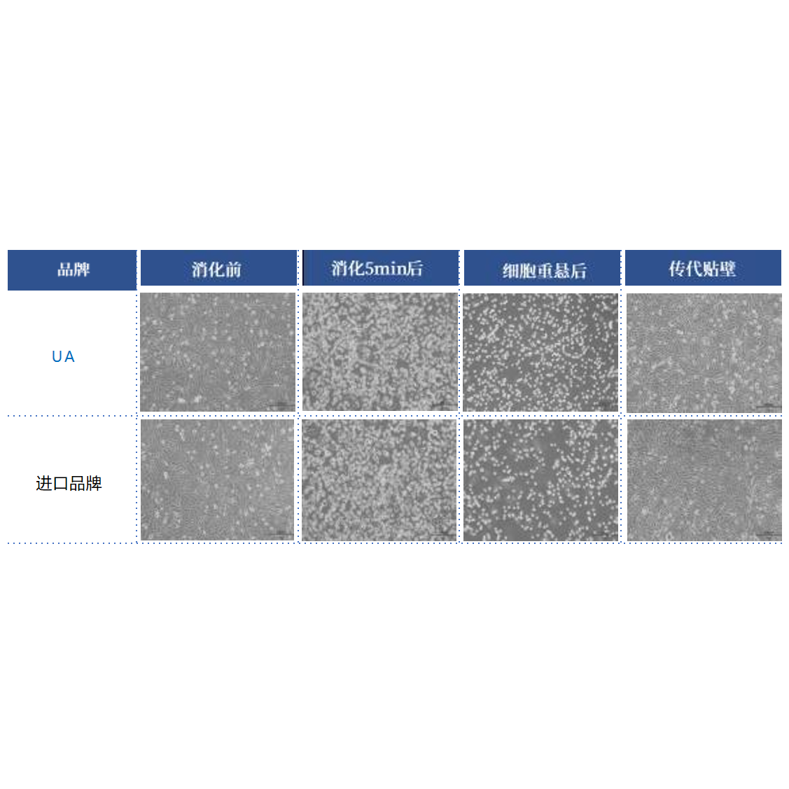 Product image media