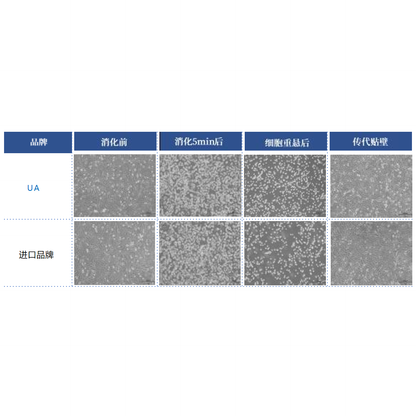 Product image media