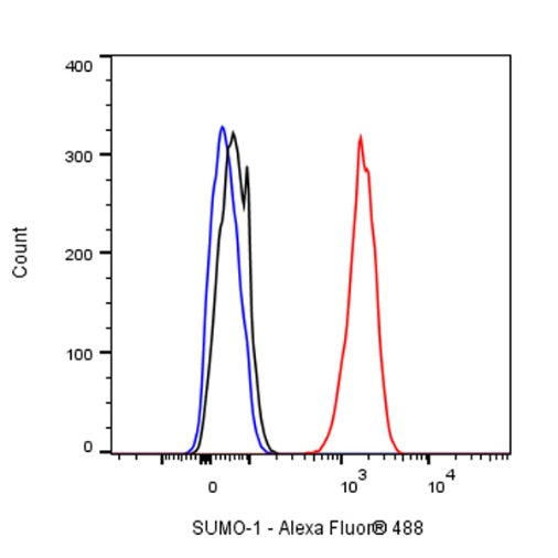 SUMO-1 Recombinant Rabbit mAb (S-625-111)