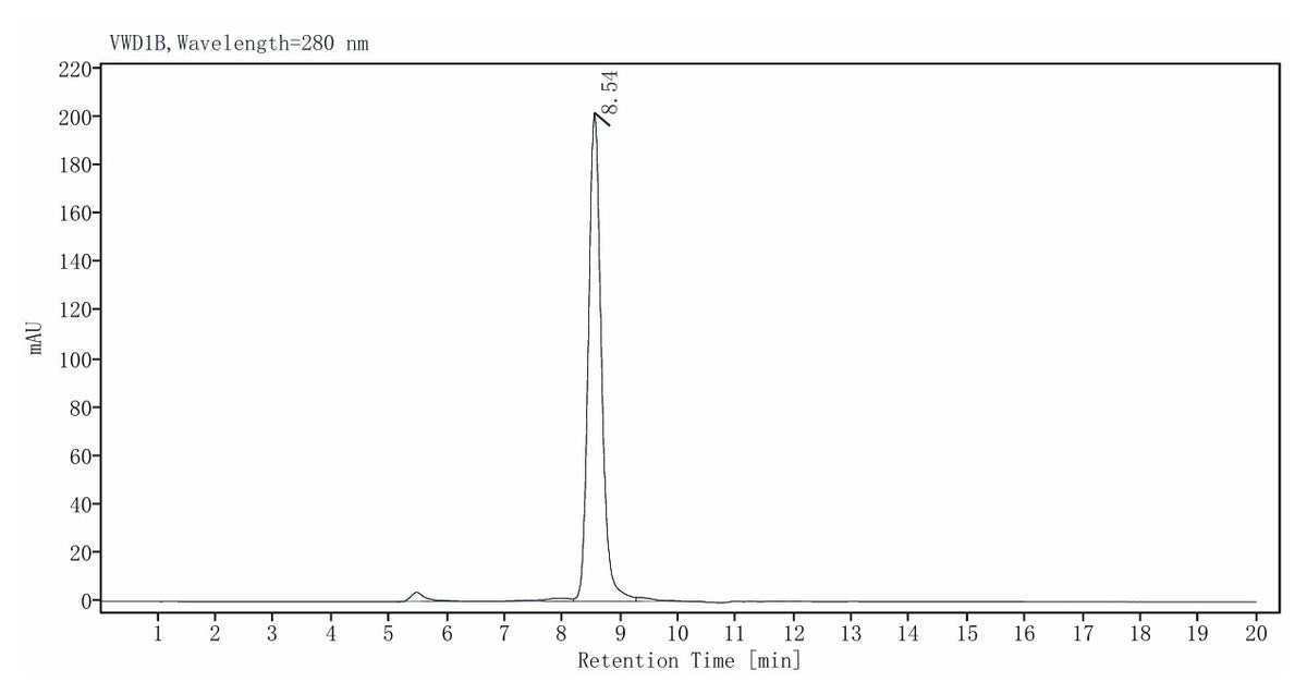 Bst DNA Polymerase, Large fragment