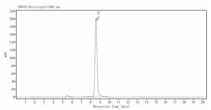 Bst DNA Polymerase, Large fragment