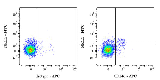 APC Rat Anti-Mouse CD146 Antibody (S-R606)
