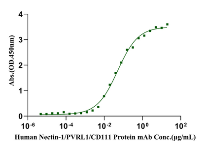 Nectin-4 His Tag Protein, Human