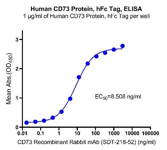 CD73 hFc Tag Protein, Human
