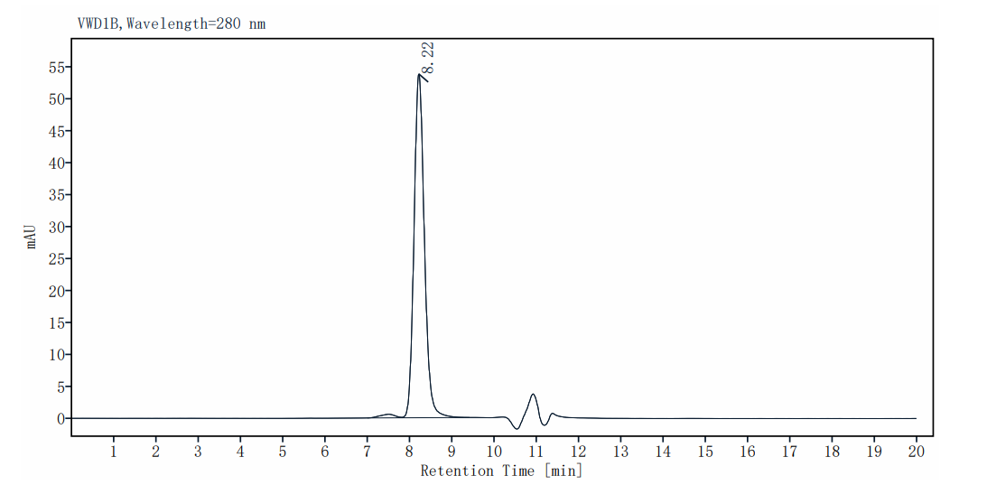 Pfu DNA Polymerase