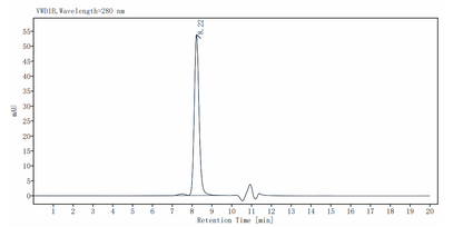 Pfu DNA Polymerase