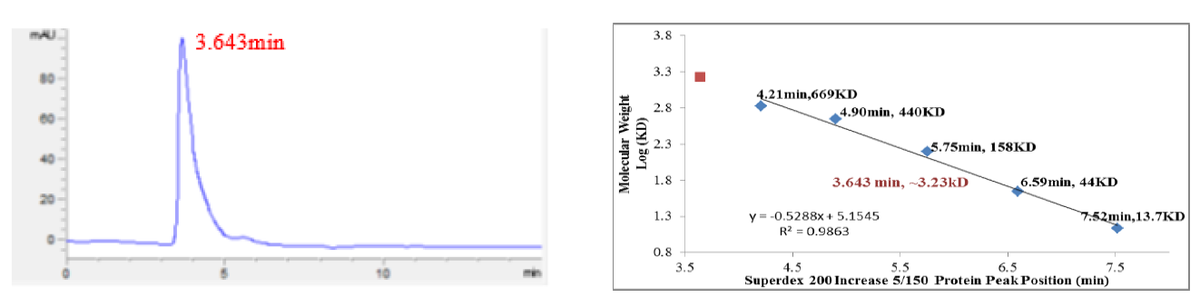 CDK2/Cyclin D1 Protein