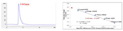 CDK2/Cyclin D1 Protein