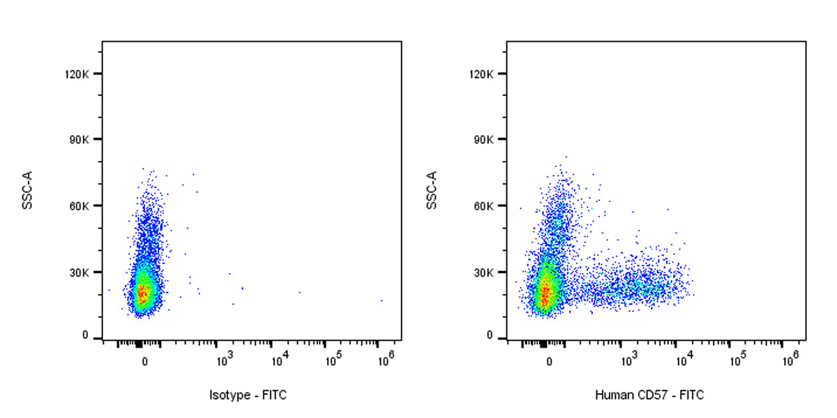 FITC Mouse Anti-Human CD57 Antibody (S-3011)