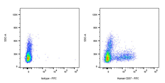 FITC Mouse Anti-Human CD57 Antibody (S-3011)