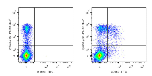 FITC Rat Anti-Mouse CD169 Antibody (S-R594)