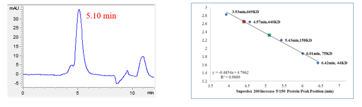 USP10 Protein