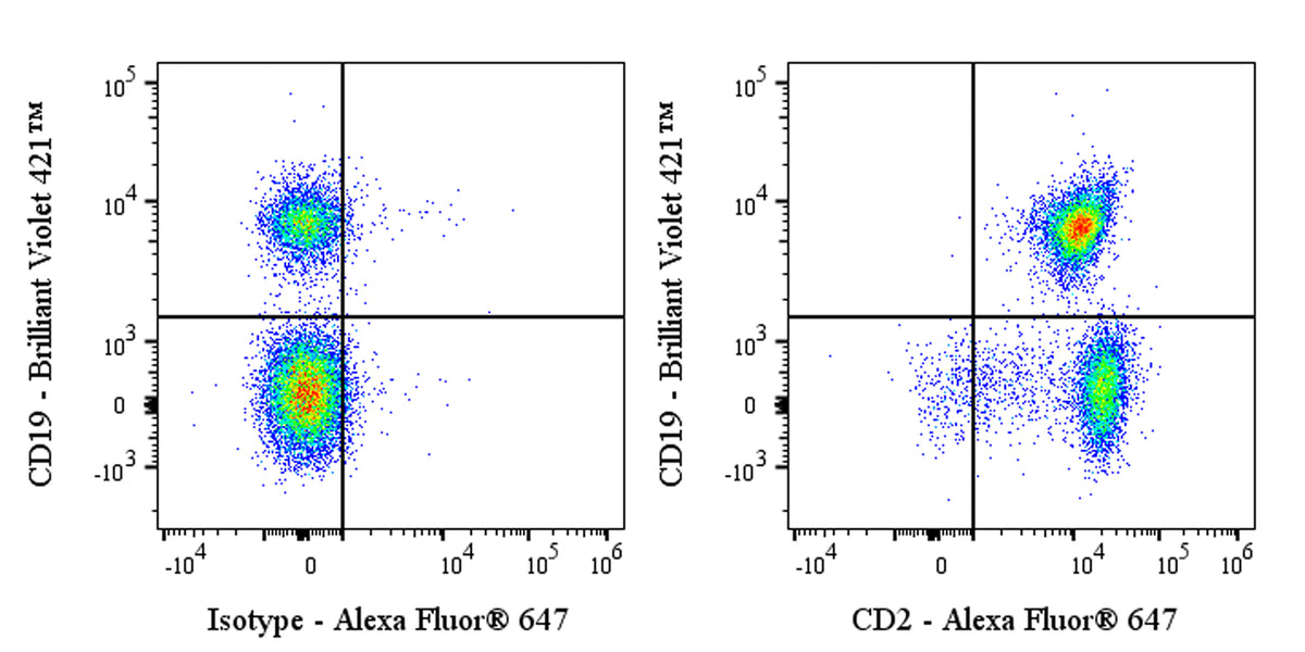 Alexa Fluor® 647 Rat Anti-Mouse CD2 Antibody (RM2-5)