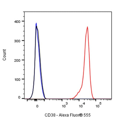 Alexa Fluor® 555 Rabbit IgG Isotype Control Antibody (S-R058)