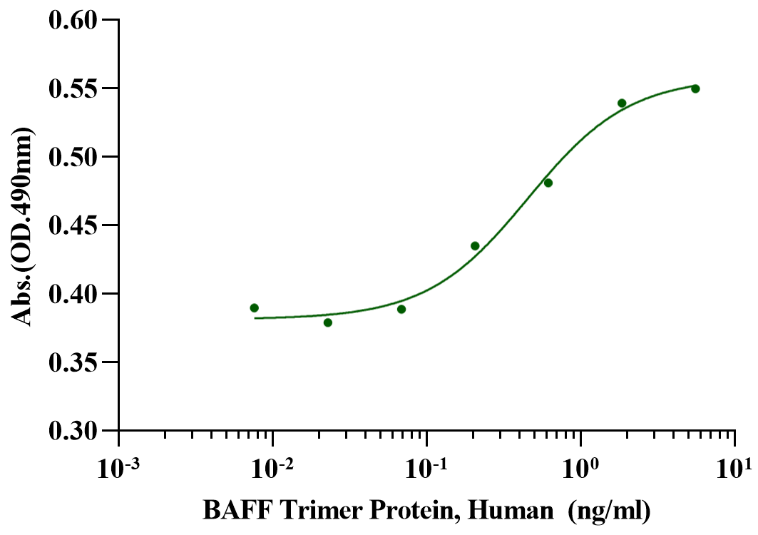 BAFF Trimer Protein, Human