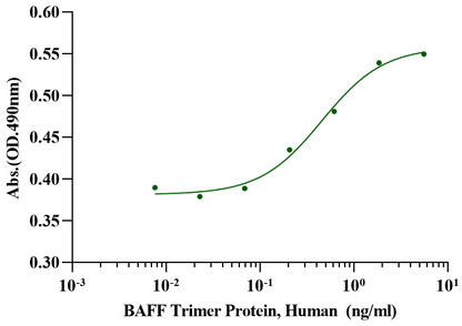 BAFF Trimer Protein, Human