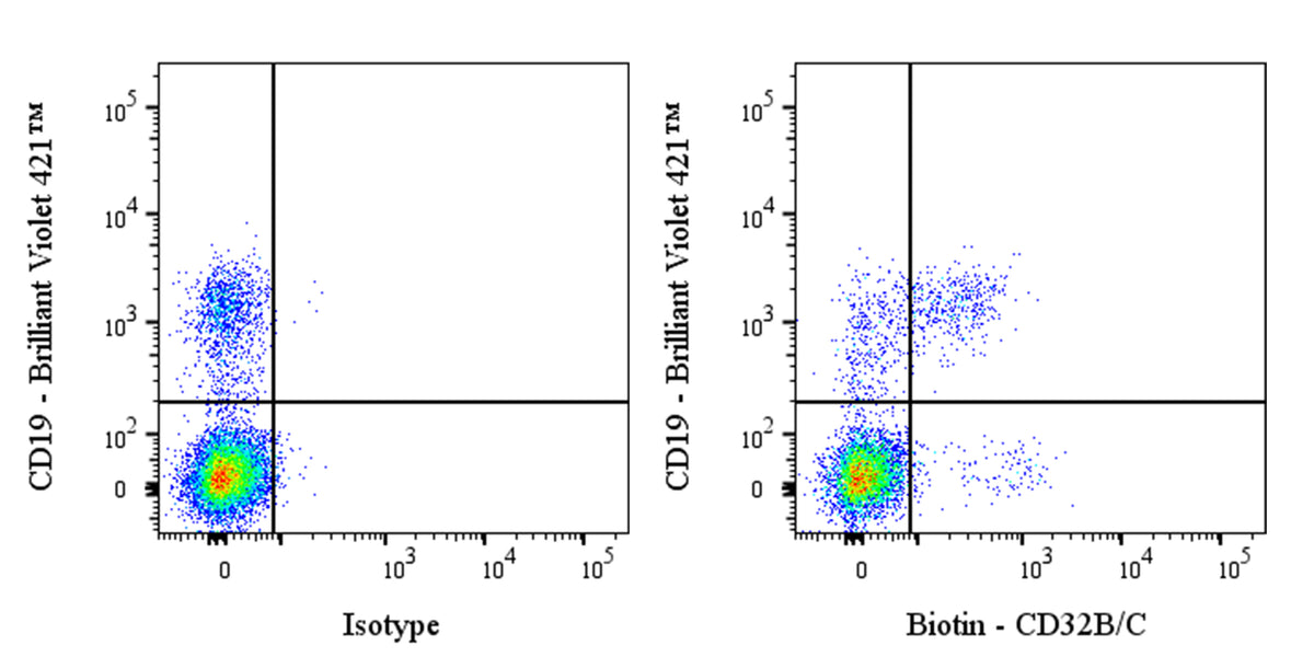 Biotin Mouse Anti-Human CD32b/c Antibody (S-3015)