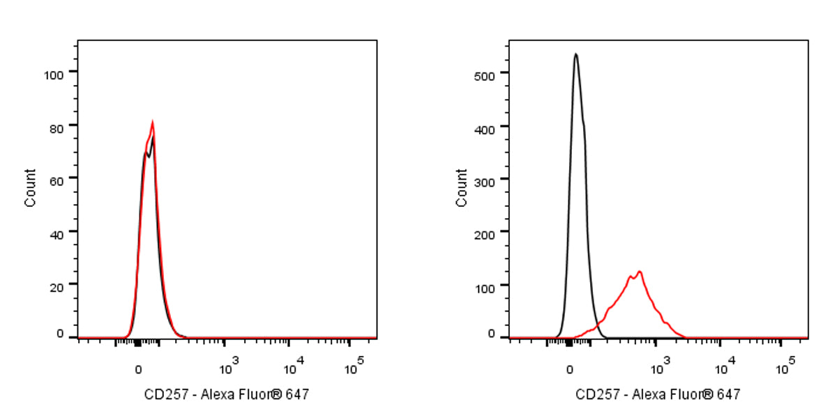Mouse Anti-Human CD257 Antibody (S-3021)