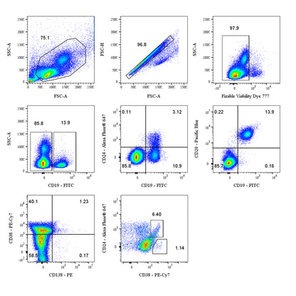 Human B Cell Panel Kit (CD19/CD20/CD24/CD38/CD138)