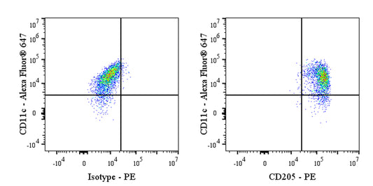 PE Mouse Anti-Human CD205 Antibody (S-3023)