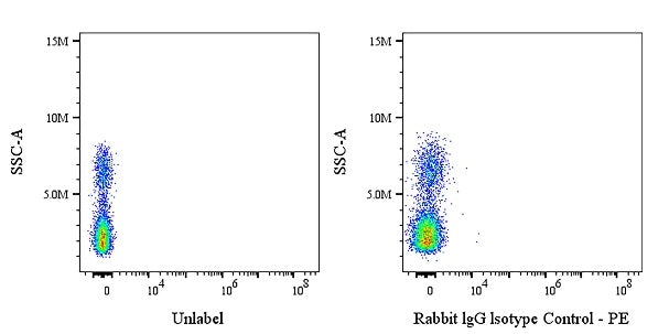 PE Rabbit IgG Isotype Control Antibody (S-R058)